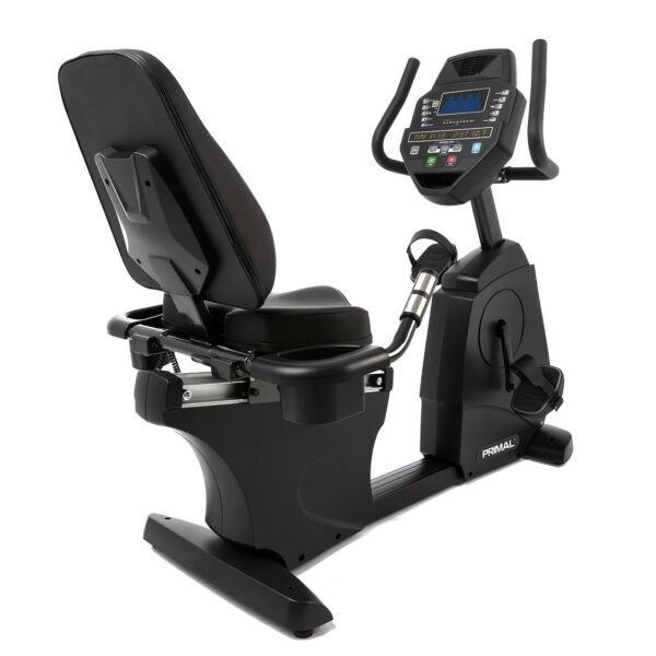 Pro Series Recumbent Bike