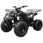 Tao T Forcee T125 Mid Size ATV - Image 4